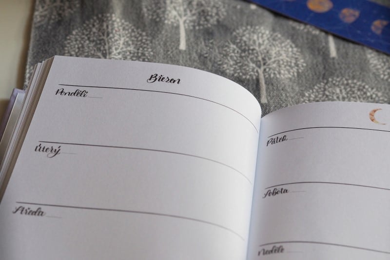 Mementerra Můj rok recenze