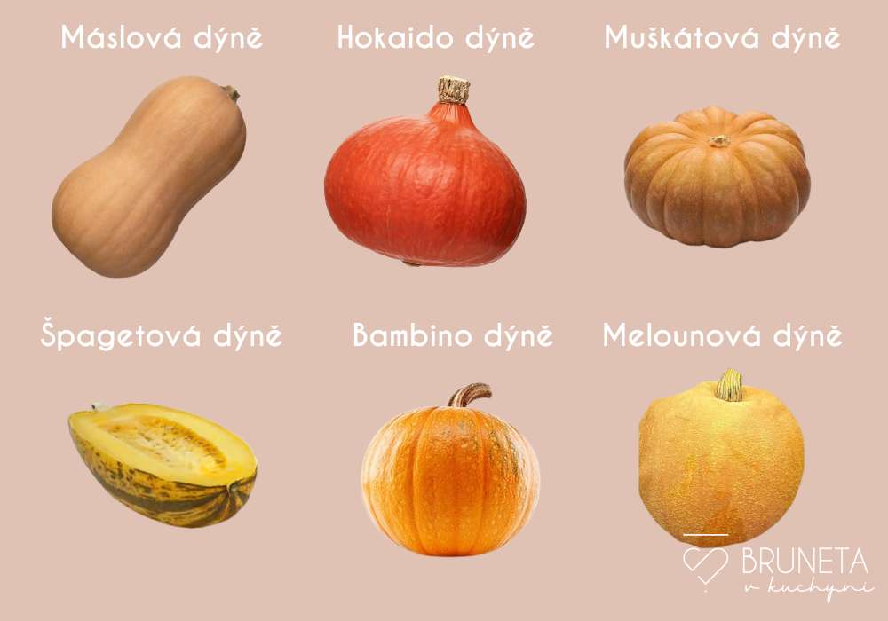 nejoblíbenější jedlé dýně