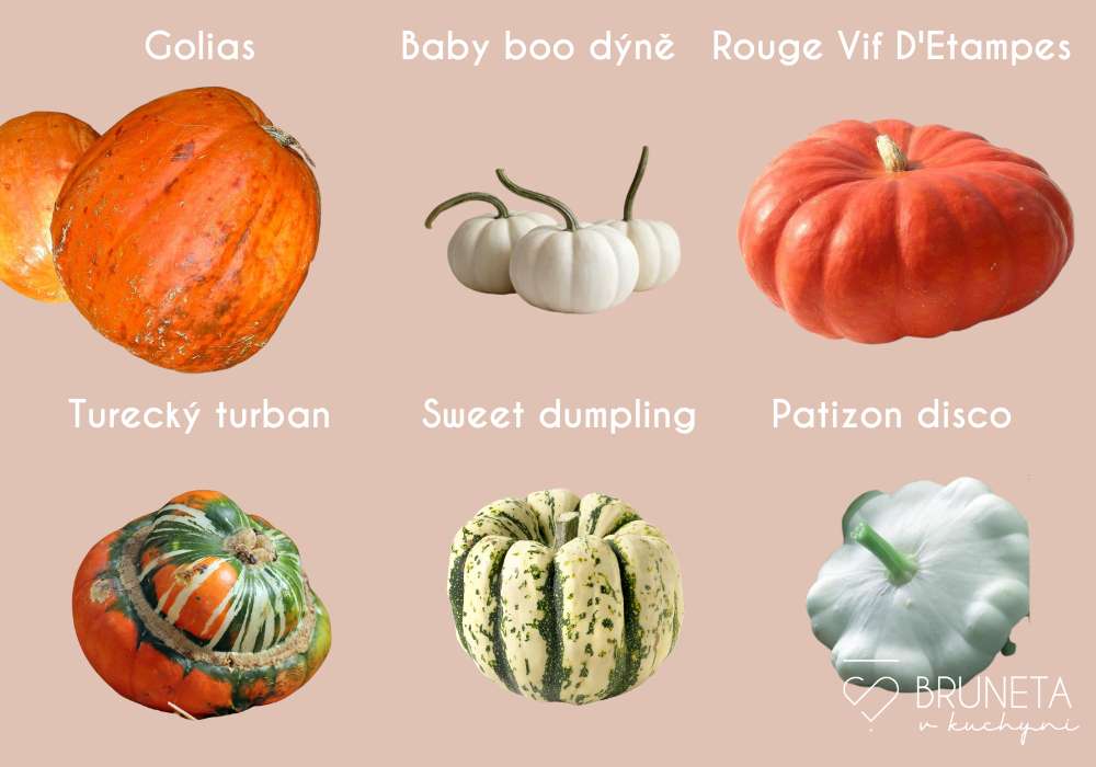 nejlepší dýně