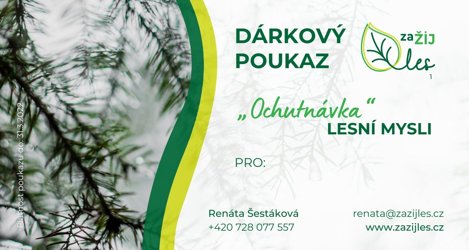 lesní mysl workshop zažij les