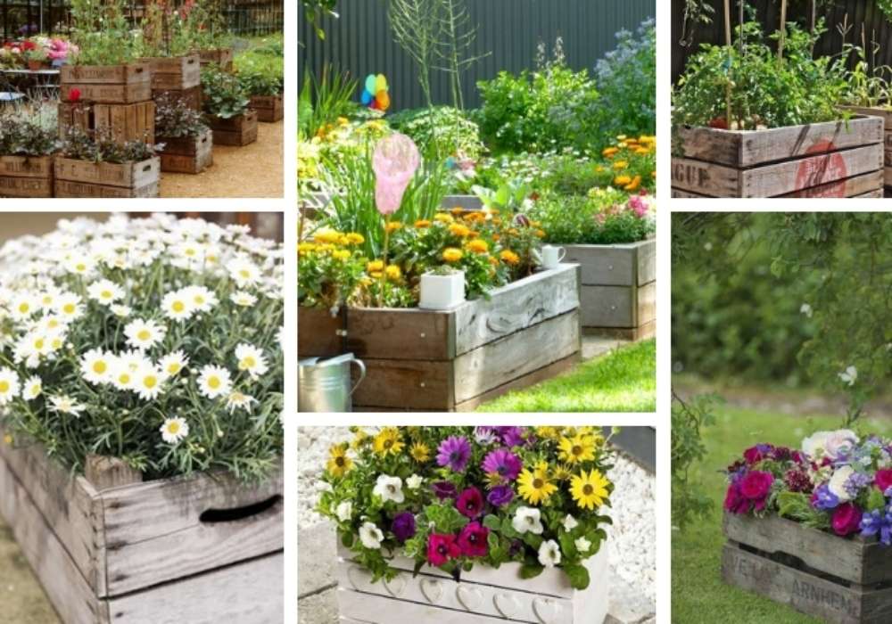 dřevěné bedýnky na zahradě